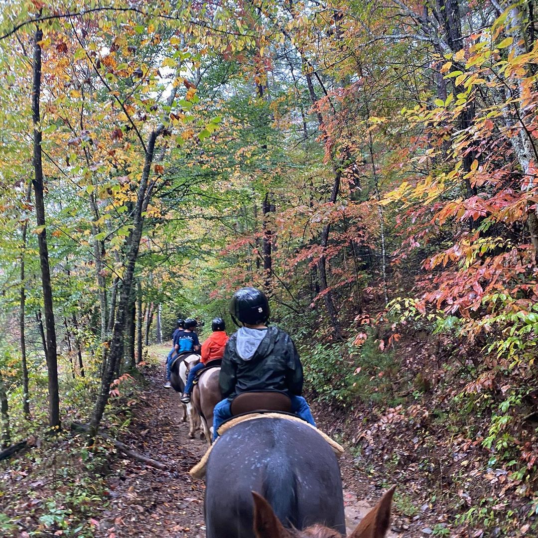 AZ List of Outdoor Activities in North Blue Sky Cabin Rentals